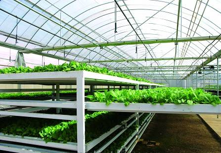 PC阳光板在农业中的运用