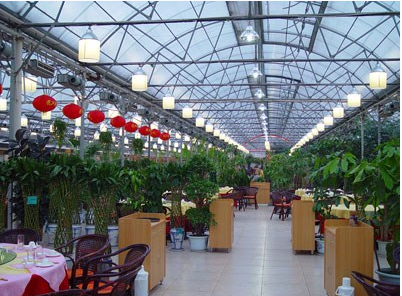 阳光板生态餐厅正式营业-誉耐阳光板